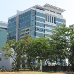 View of Alpap II as seen from the vacant lot at the corner of Trade Avenue and Acacia Ave.